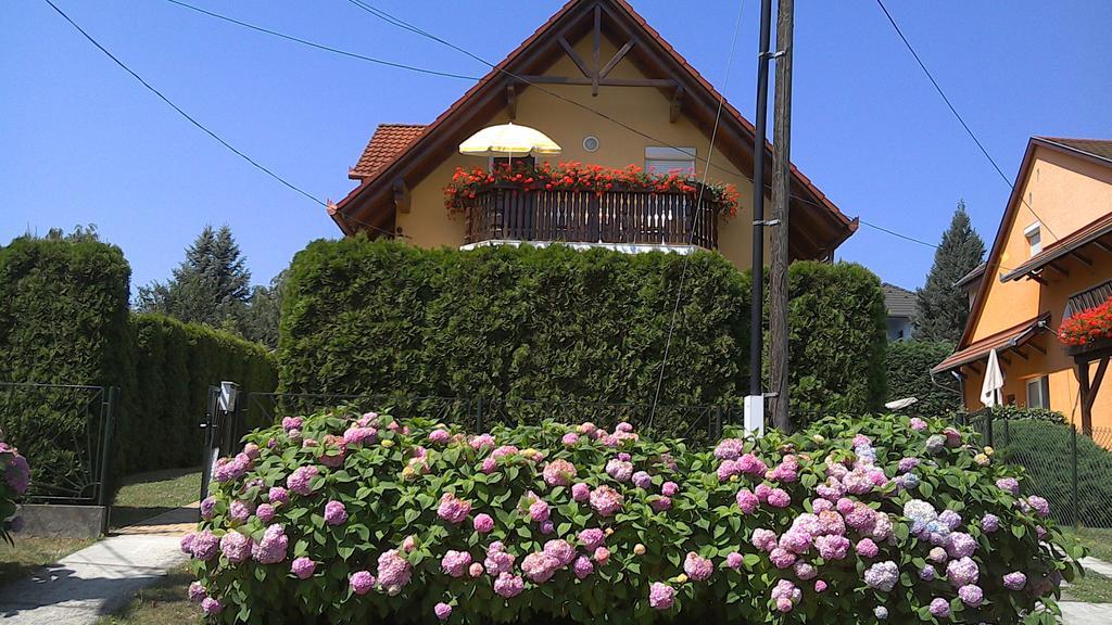 Akacfa Hortenzia Apartman 佐洛卡罗斯 外观 照片